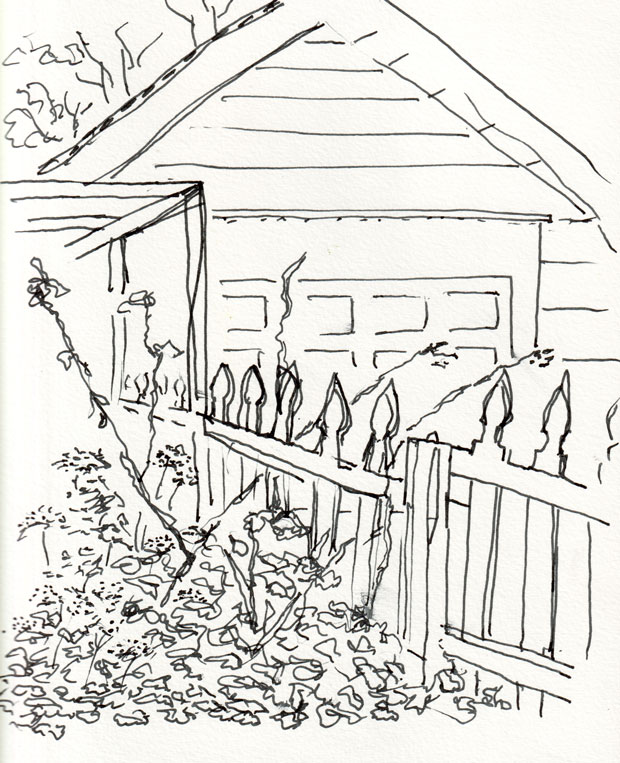 backyard with fence, leaves, sedum, raspberry branches, garage, growing cage in ink