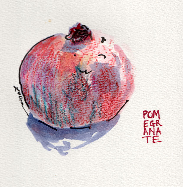 Pomegranate, watercolor, ink, and colored pencil