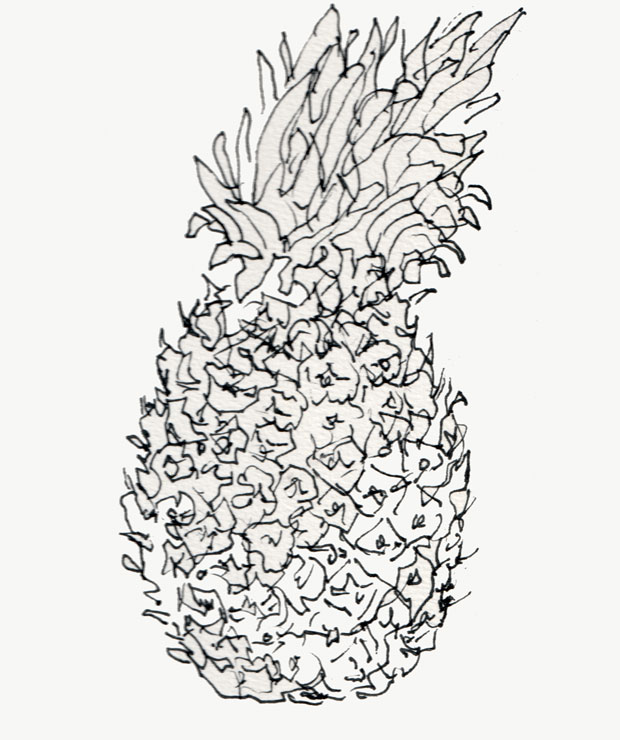 pineapple, ink